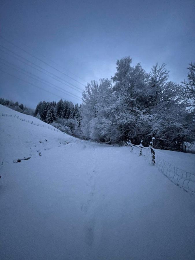 Schneiderhof Villa Weerberg Dış mekan fotoğraf