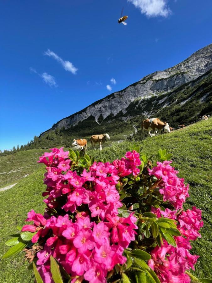 Schneiderhof Villa Weerberg Dış mekan fotoğraf